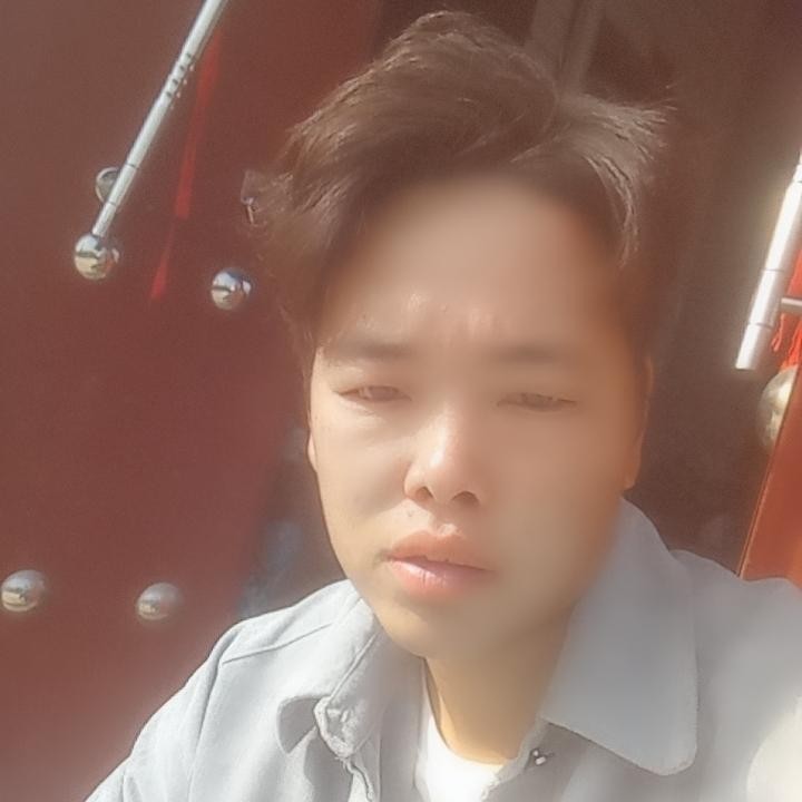 可爱的小飞飞的照片