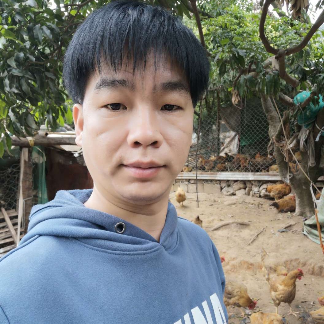 未来初见的照片