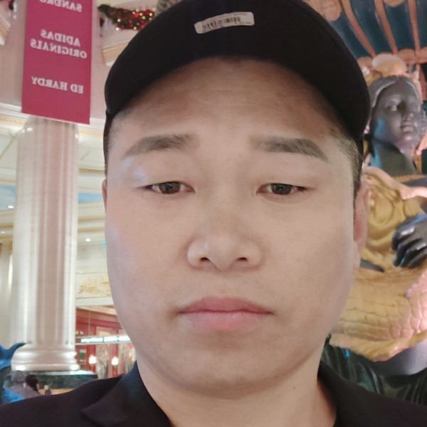 灵巧老鼠的照片