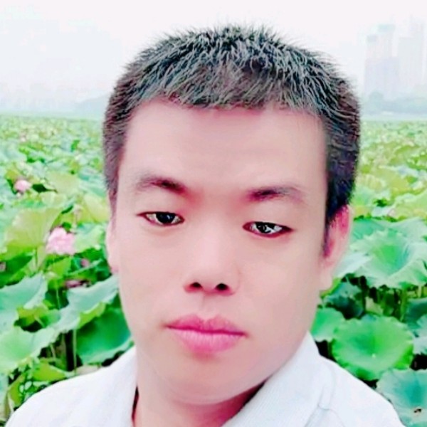 高贵的翅膀的照片