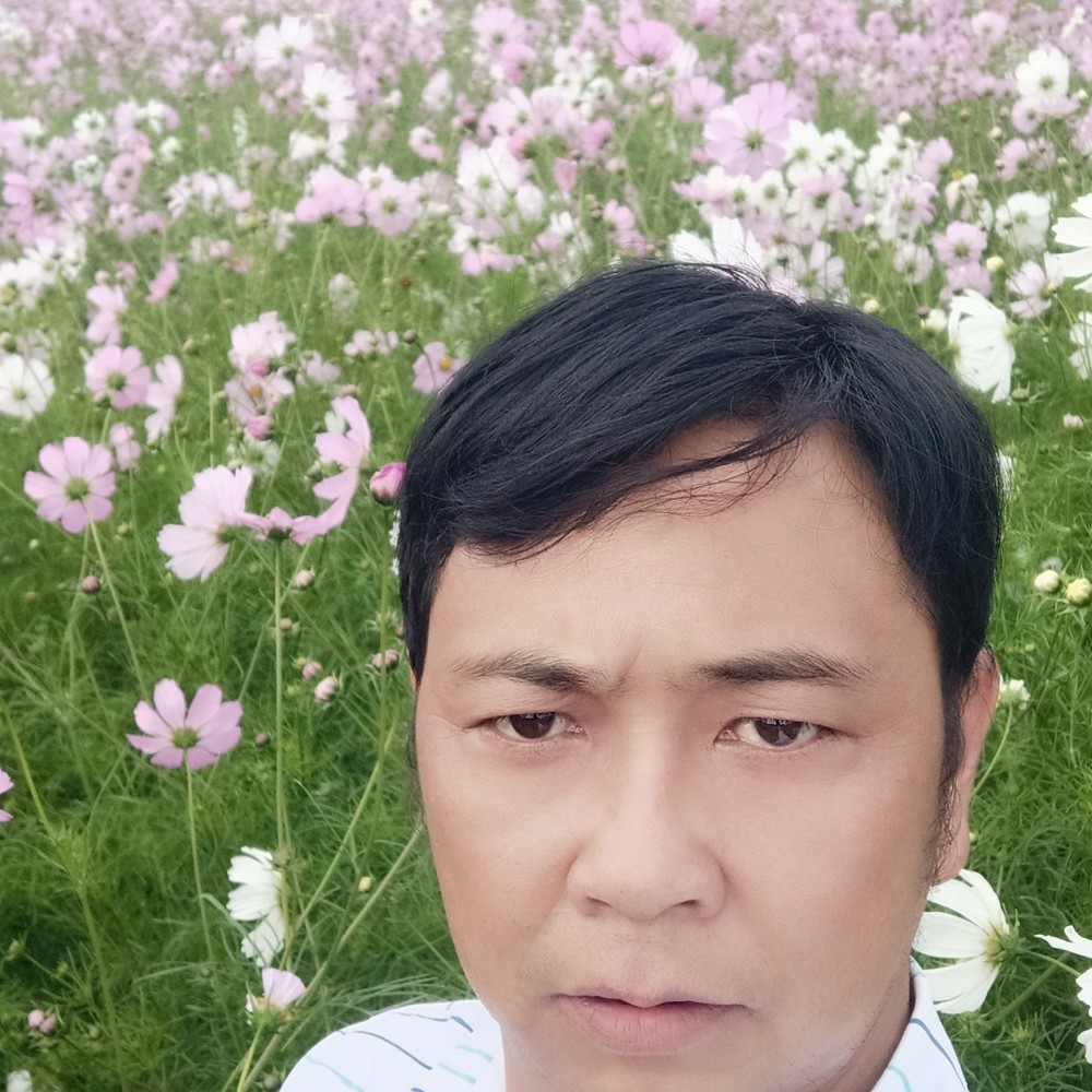 龍林的照片