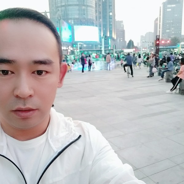 淡定高高的照片