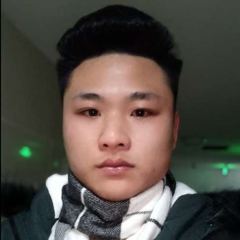 鲤鱼硬币的照片