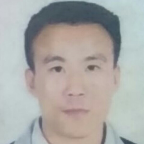 季节相许自由的照片