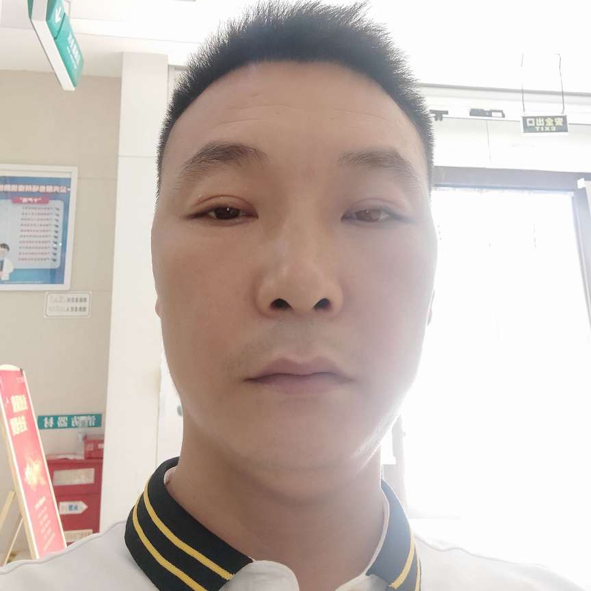 大树与机智的照片