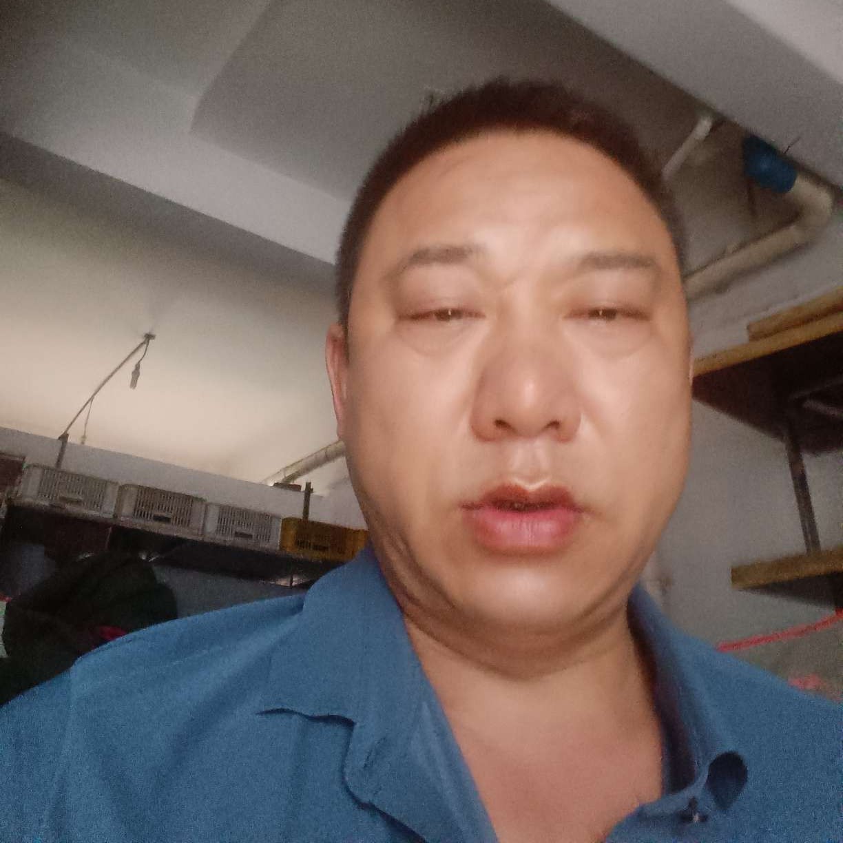 可靠深拥黄豆的照片