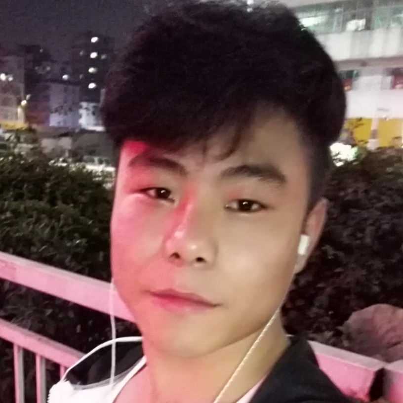 矮小的小猫咪的照片