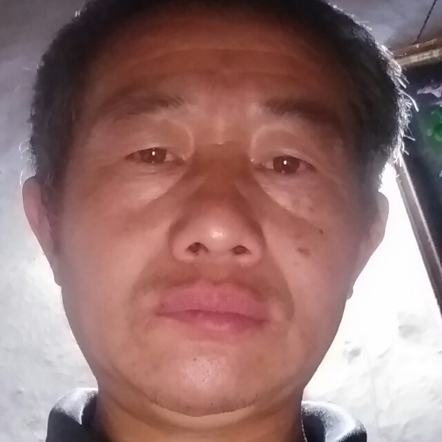 441441的照片
