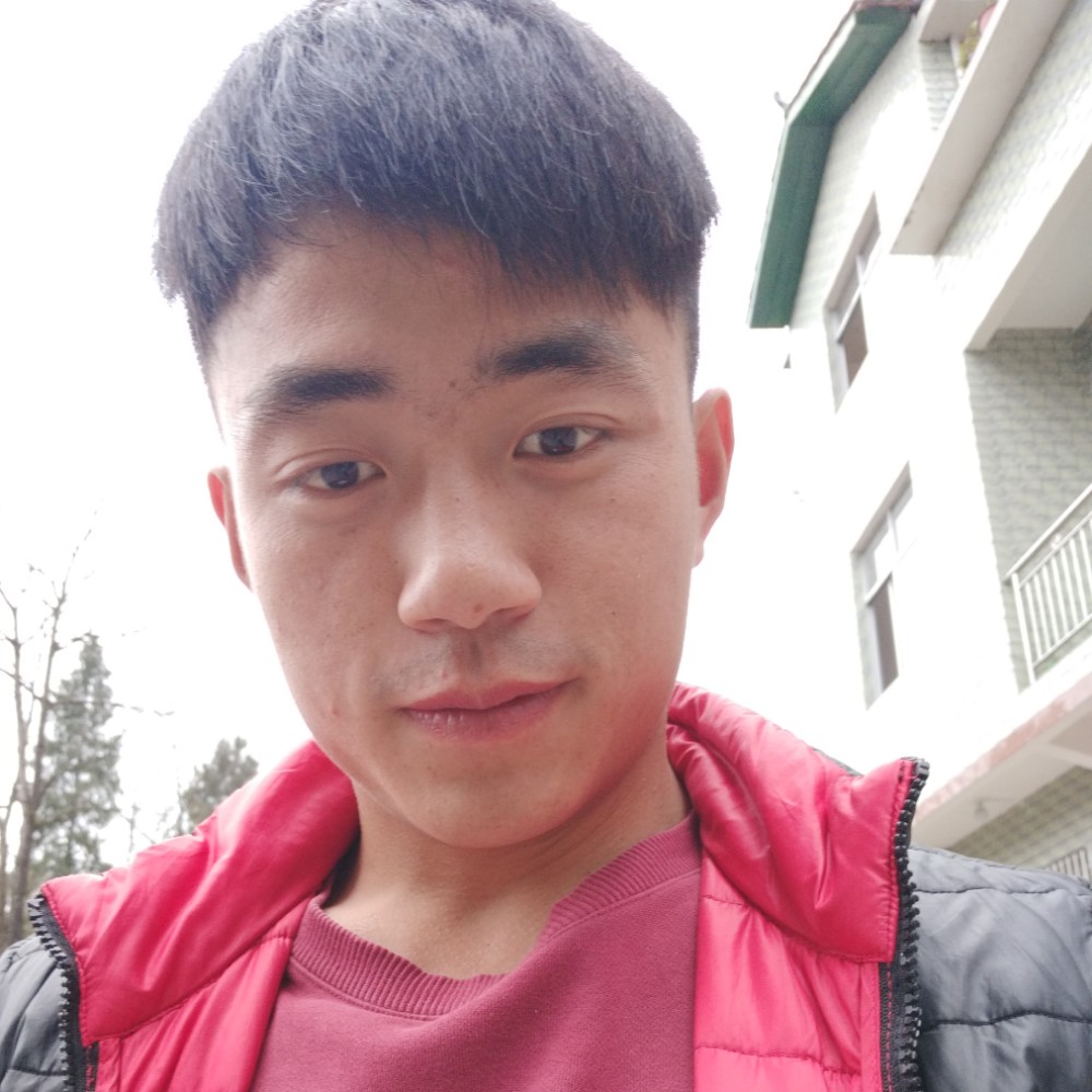 画板停止孝顺的照片