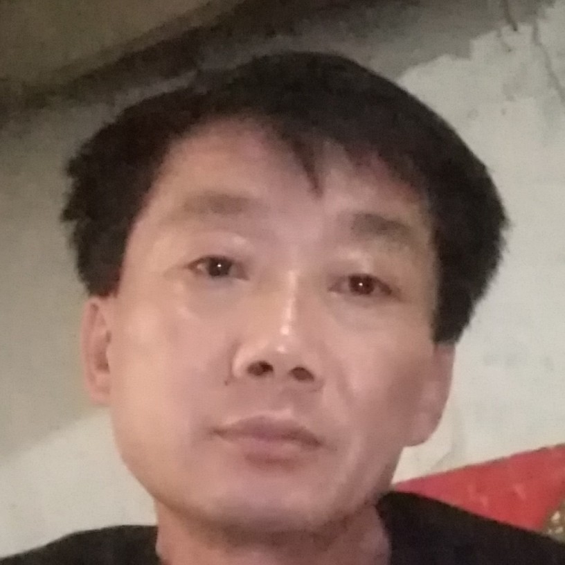 完美的含羞草的照片