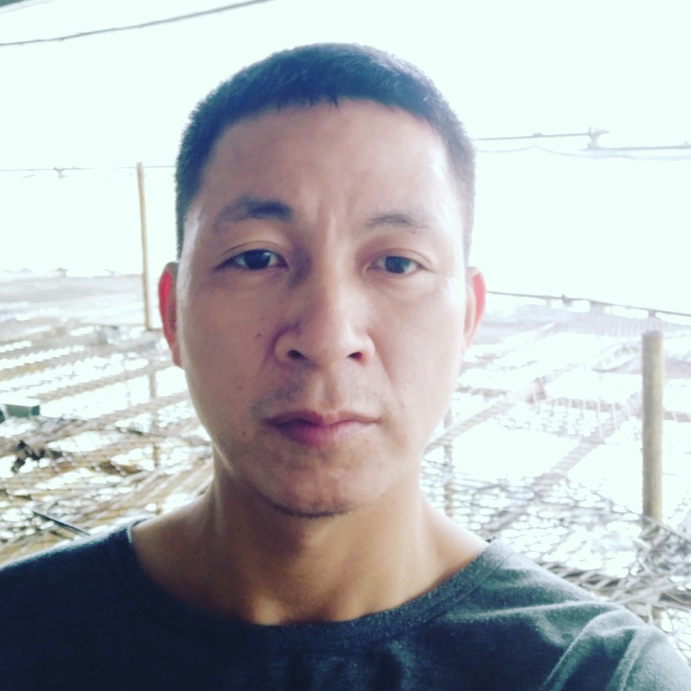 大山漫步的照片