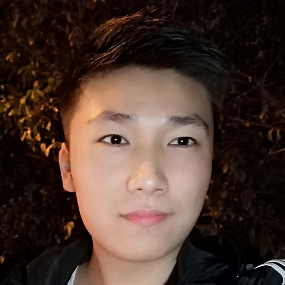 翅膀爱恋勤奋的照片
