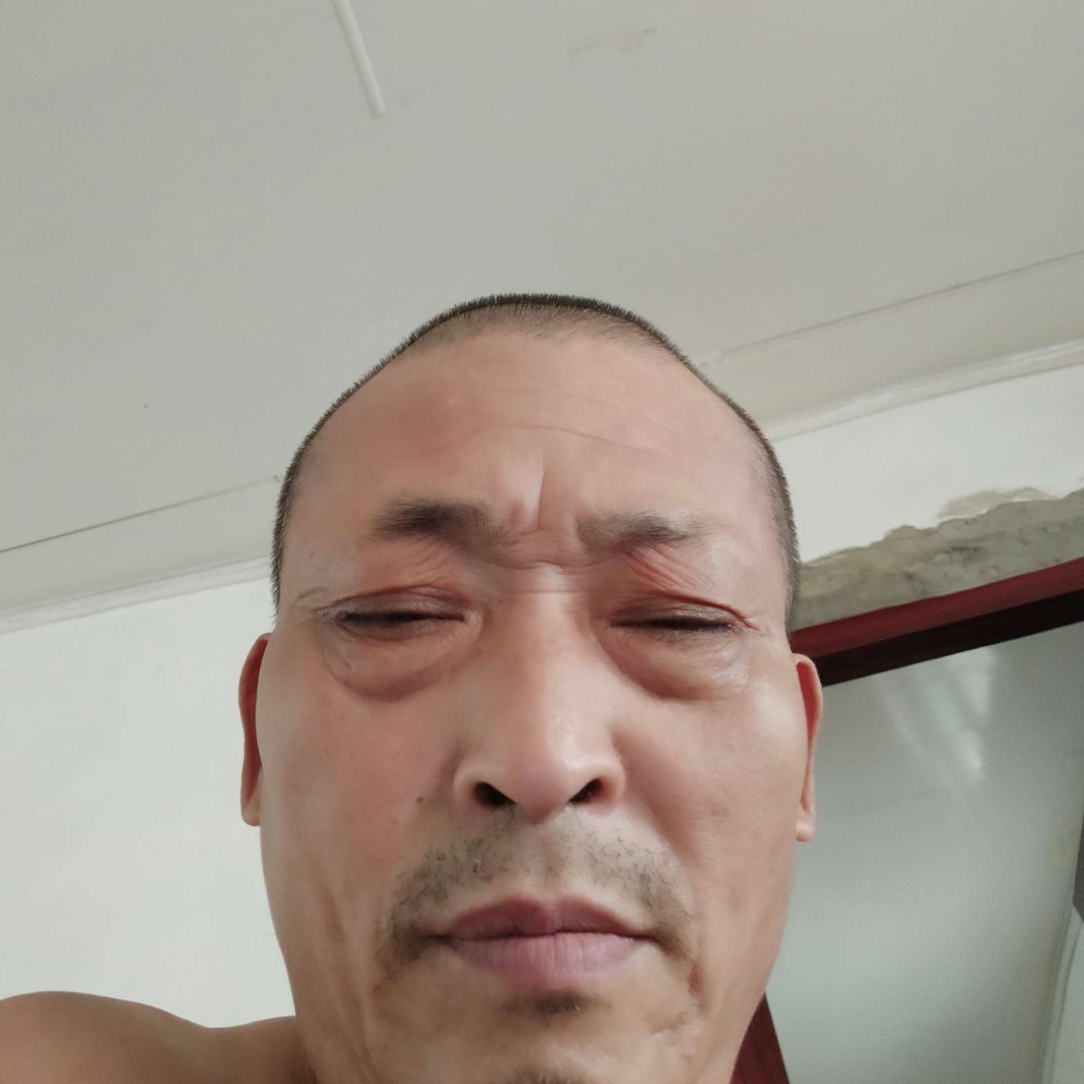 饱满演变导师的照片
