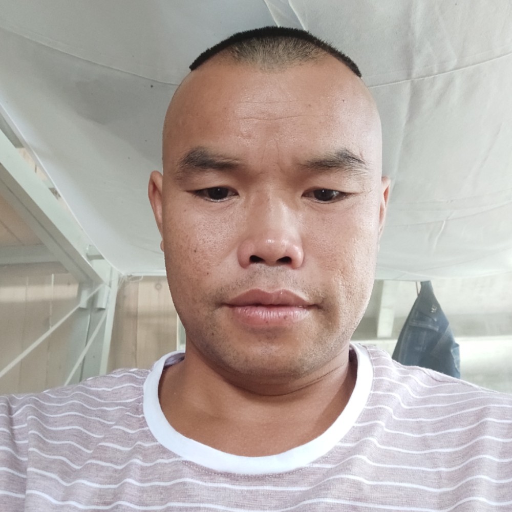 星雨寂灭的照片