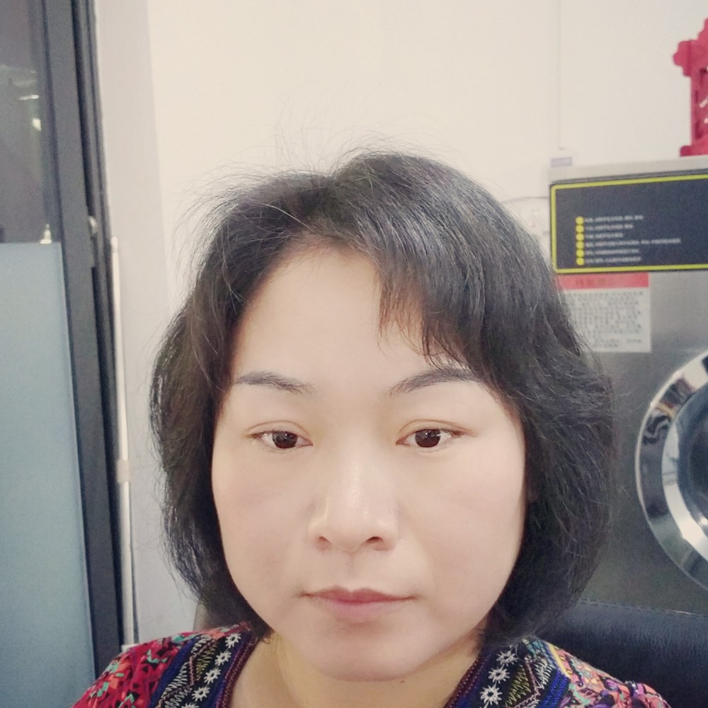 清晨四叶草的照片