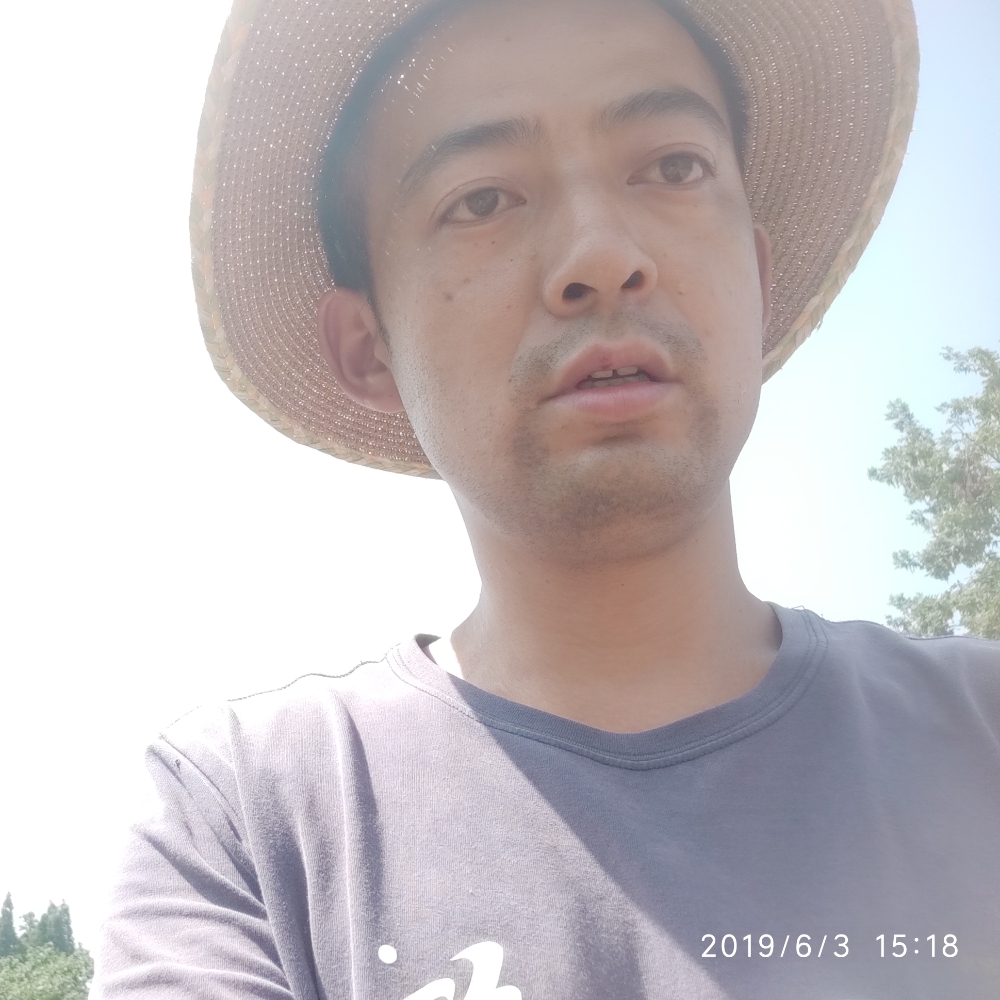 小鸽子的失眠的照片