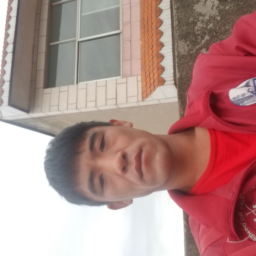 瘦瘦迎鸵鸟的照片