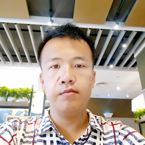 勤劳河马的照片