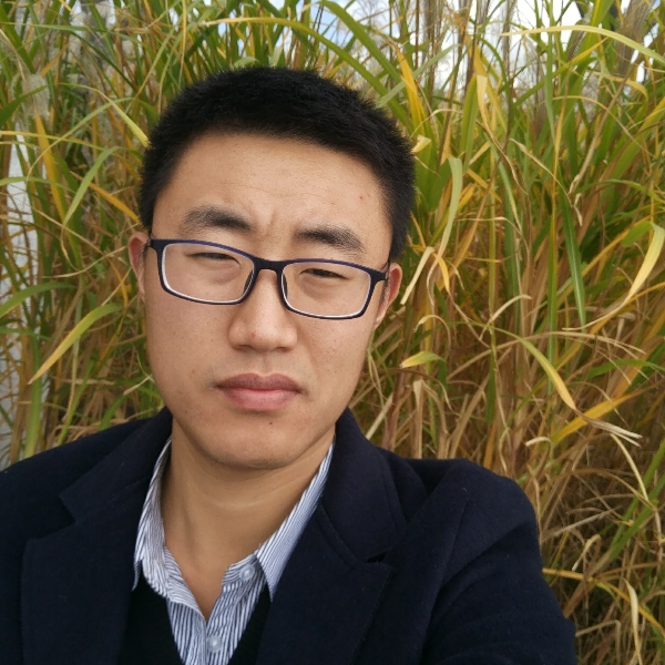 虚拟西牛的照片
