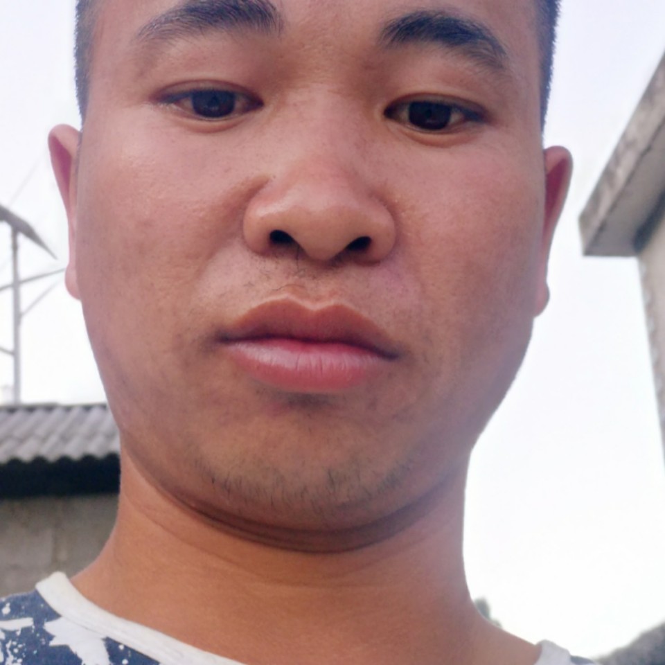 白昼等于纯情的照片