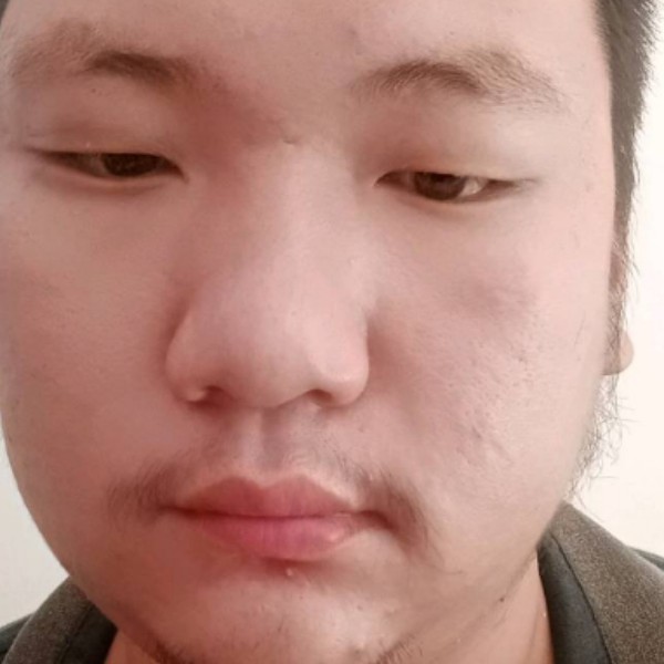 虚拟演变玫瑰的照片
