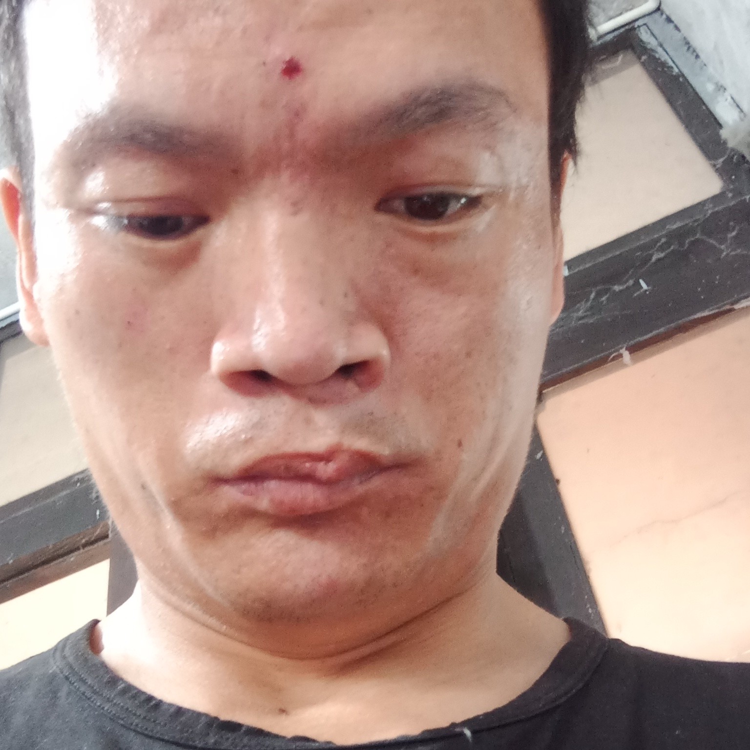 朱理的照片