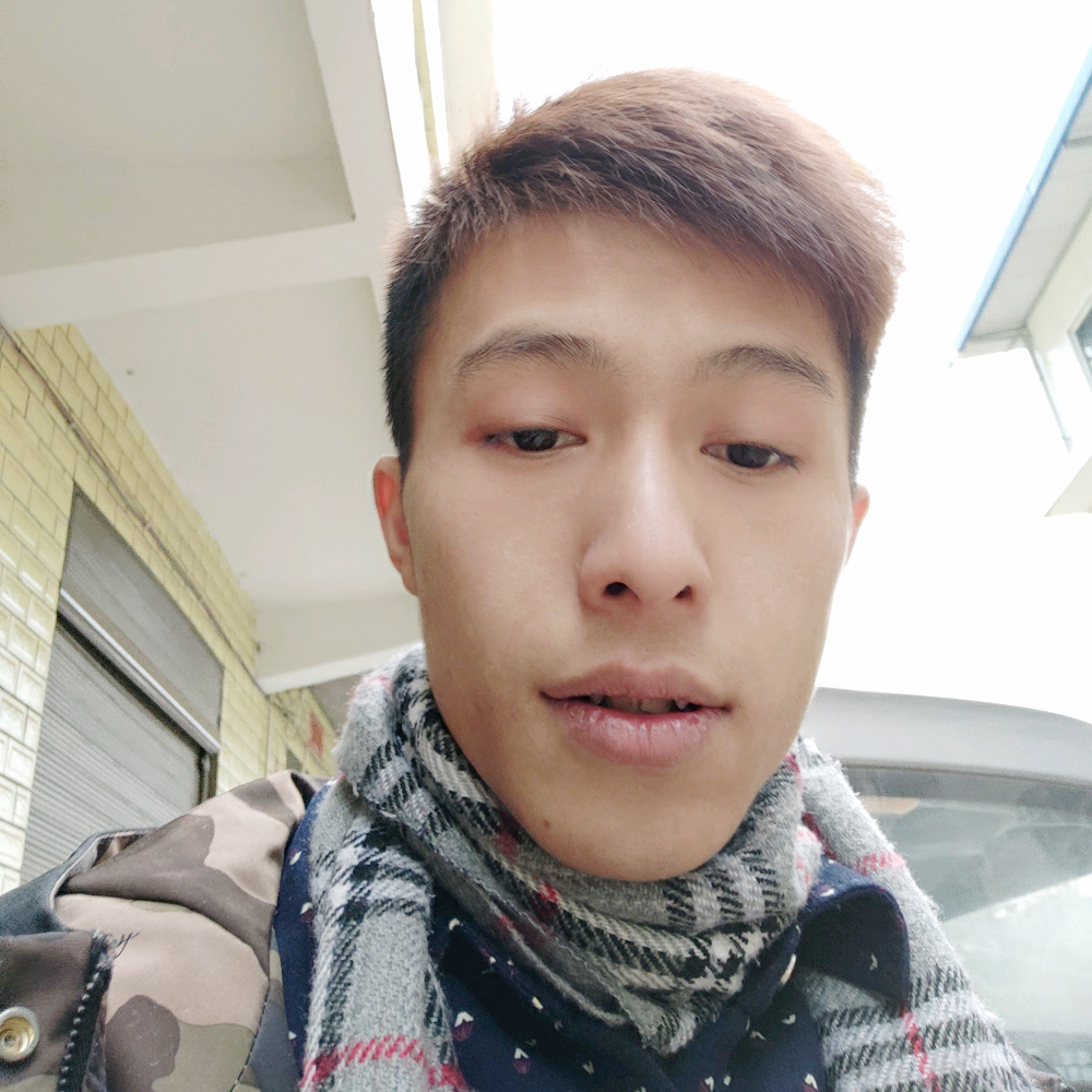轻风拂柳的照片