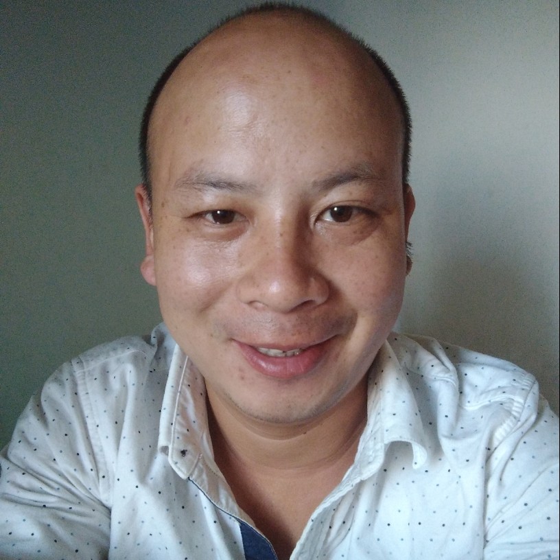 恬静斑马的照片