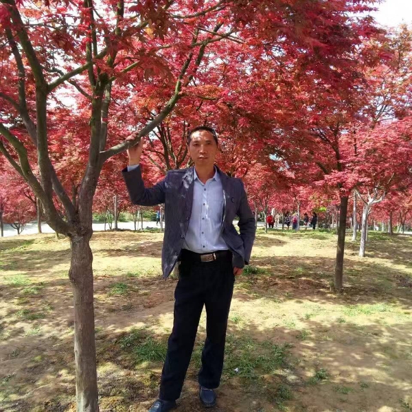 高山单薄的照片