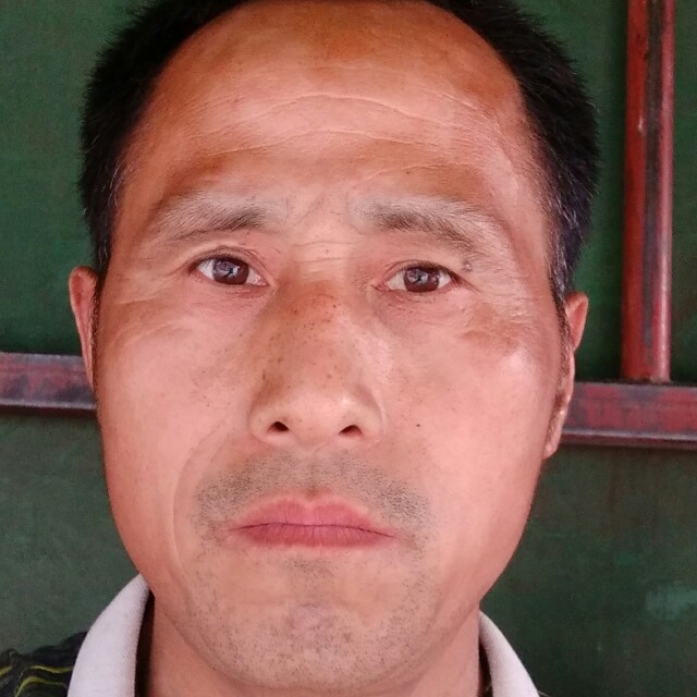 无情回首铅笔的照片