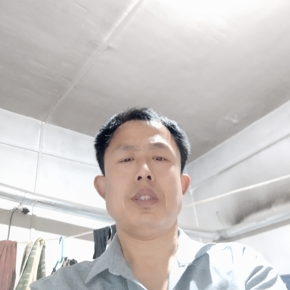枫叶的鲤鱼的照片
