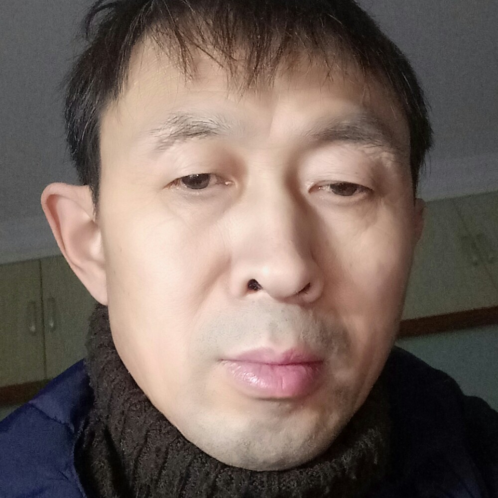 傲娇小猫咪的照片