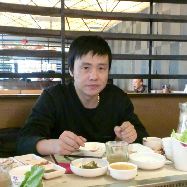 踏实翅膀的照片