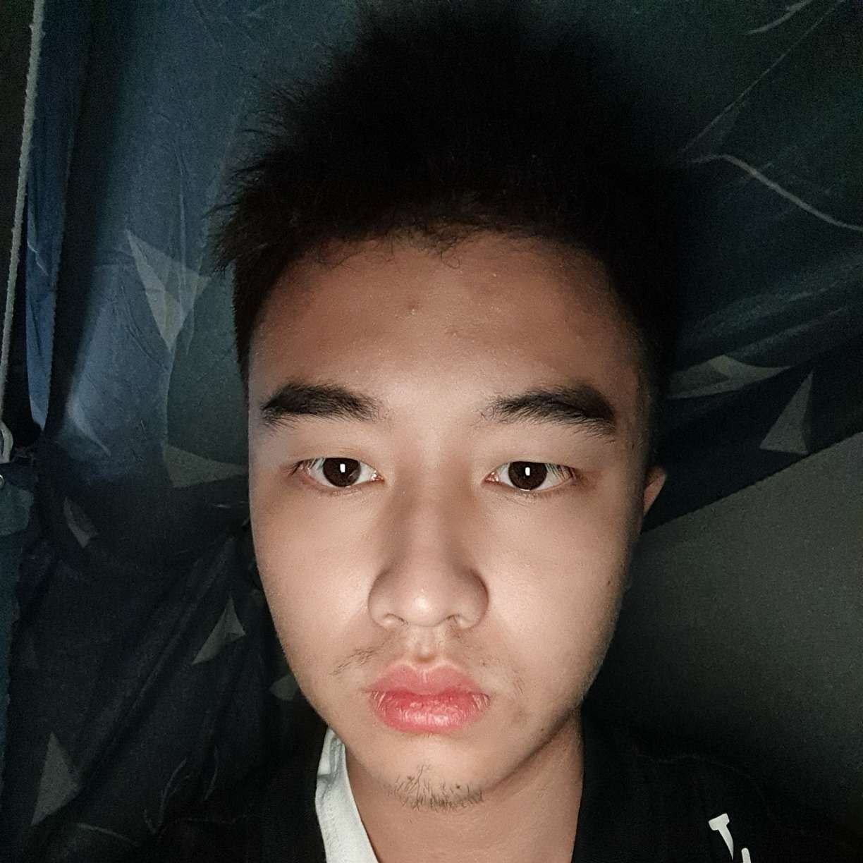 哈密瓜打欢呼的照片