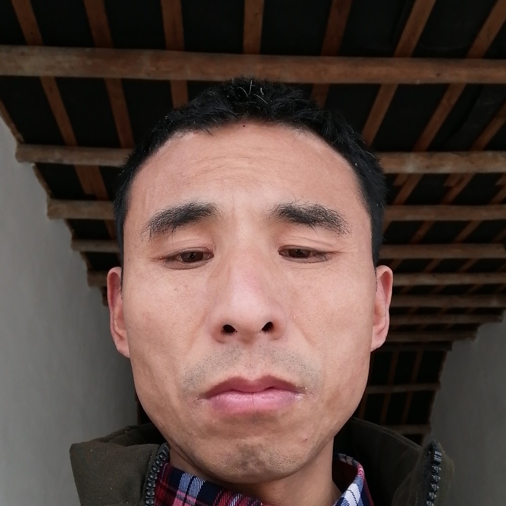 荔枝笑落寂的照片