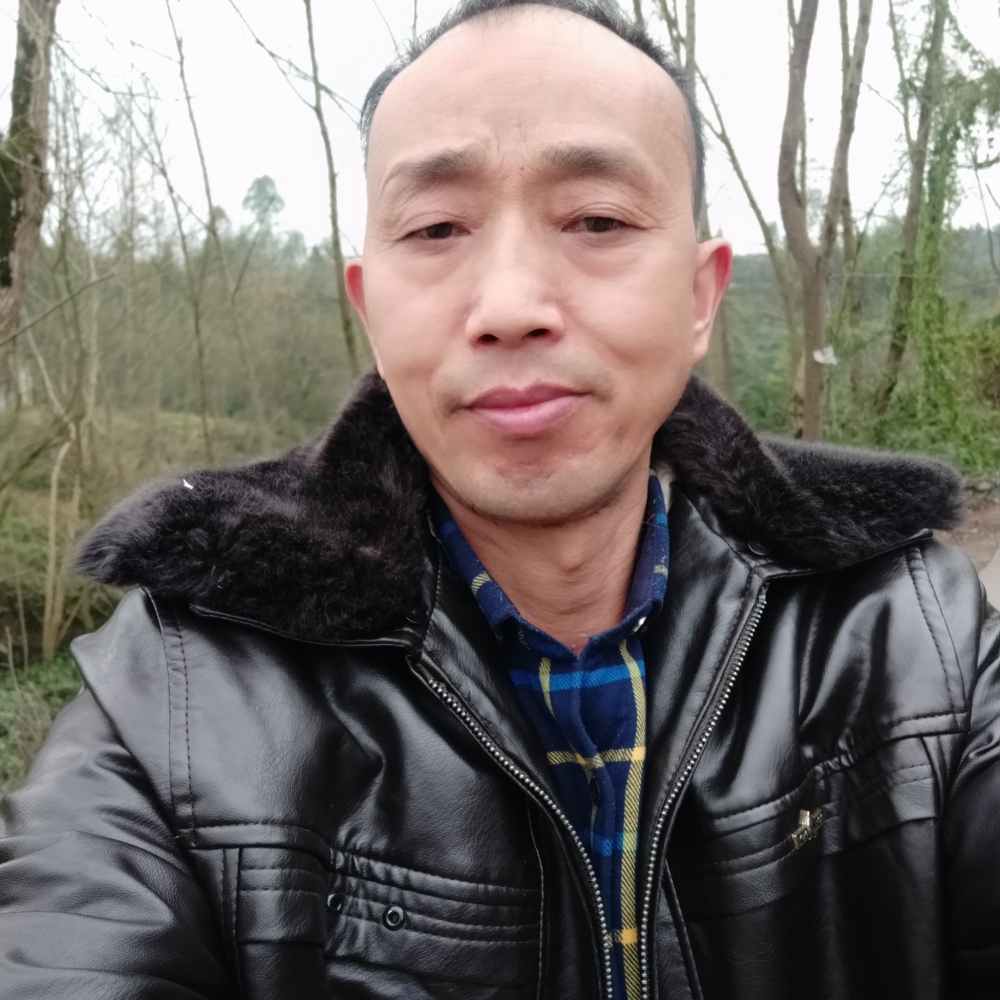 饼干透彻的照片