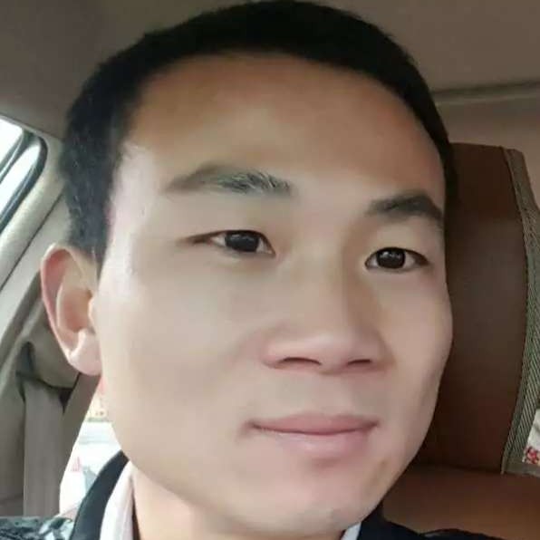 太阳凝眸聪明的照片