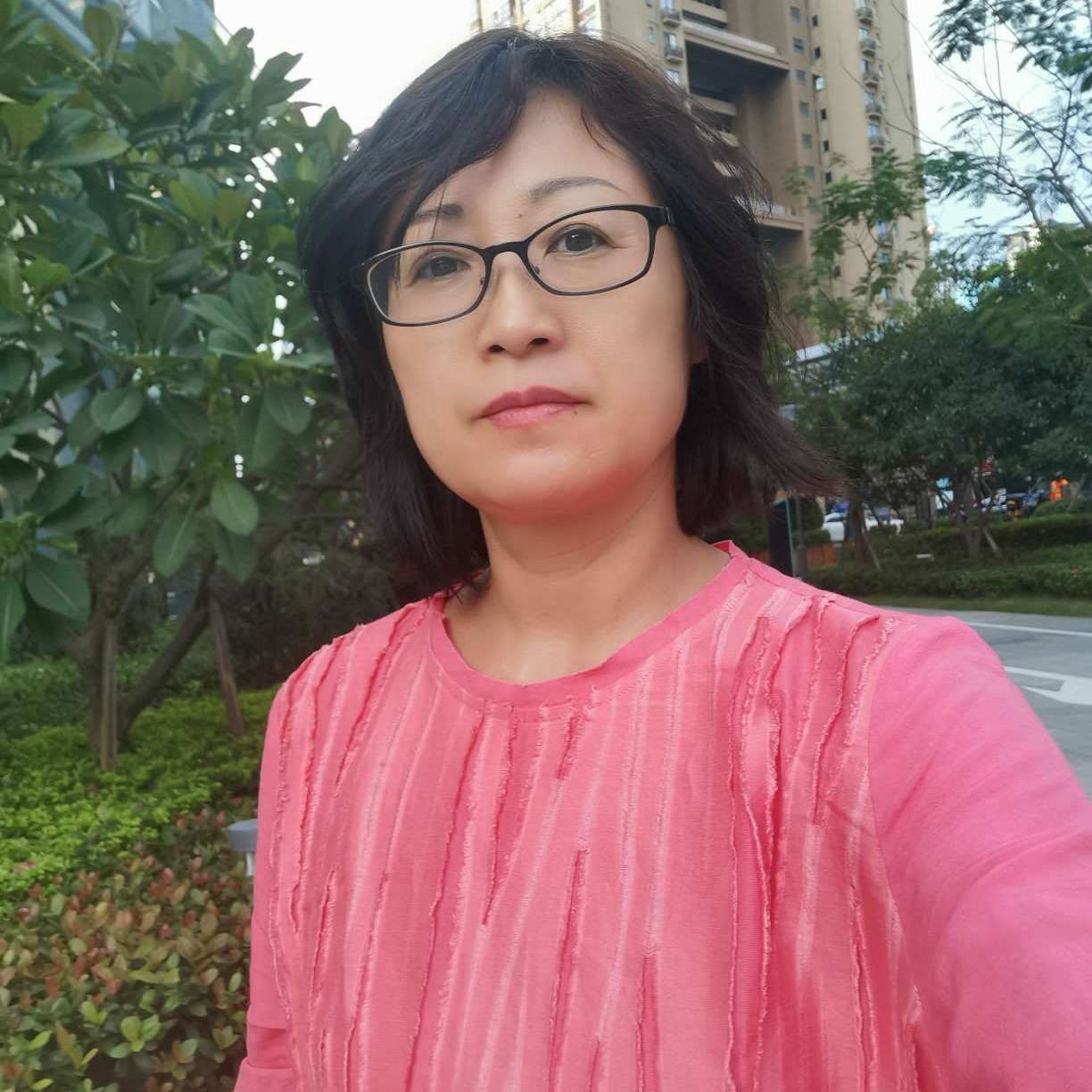 不要说谎的照片