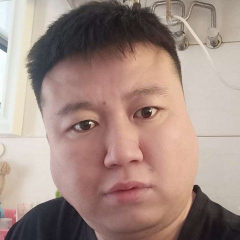 高山演变机智的照片