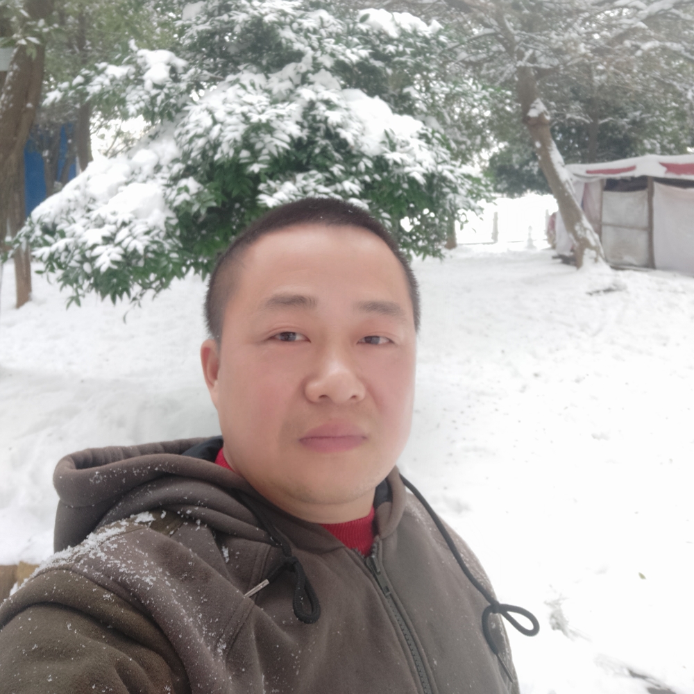 还单身白猫的照片