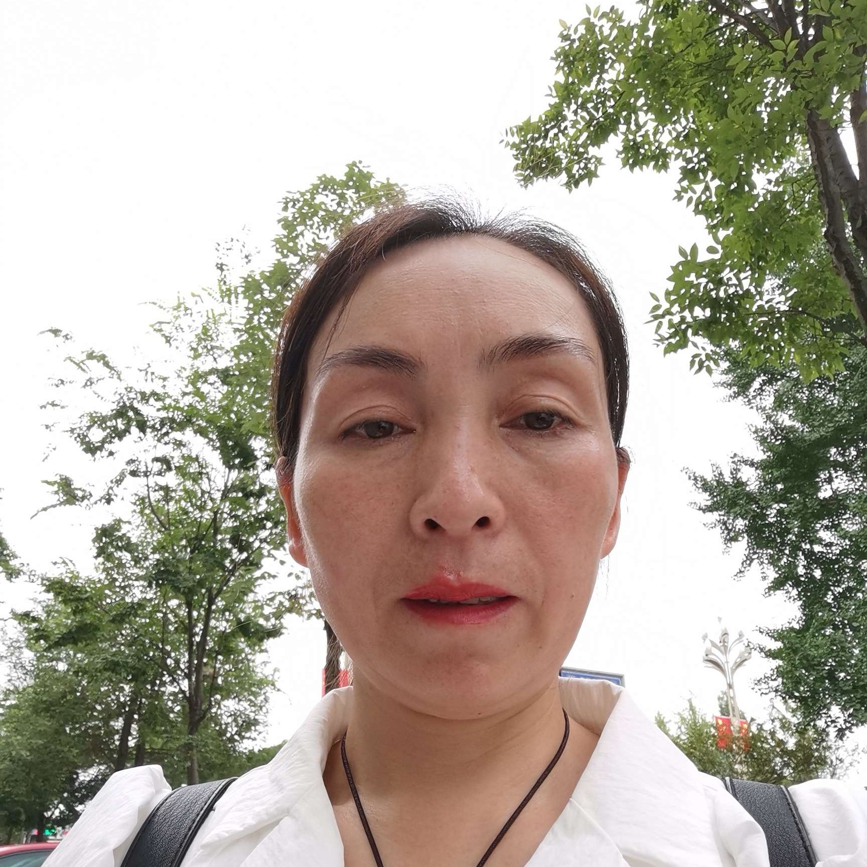 漠然向平湖的照片