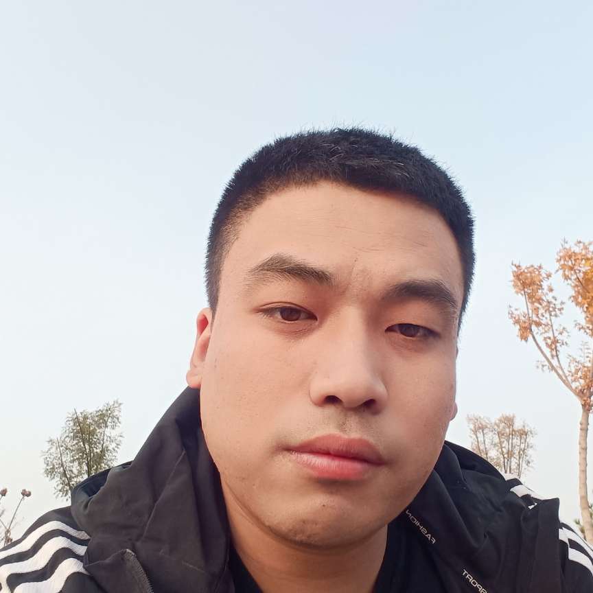 错落宝马晚的照片