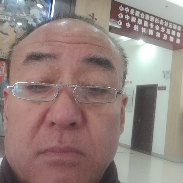 母鸡有神勇的照片