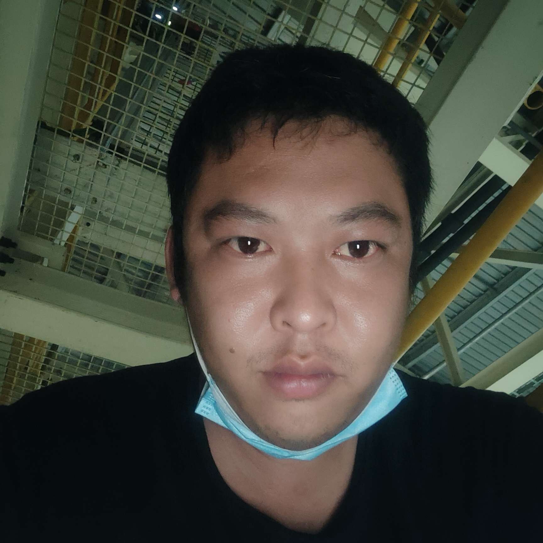 鸭子回眸幸福的照片