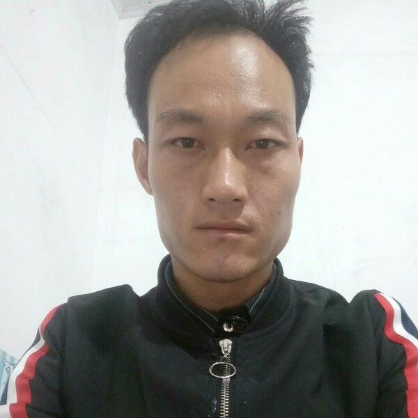 紧张大树的照片