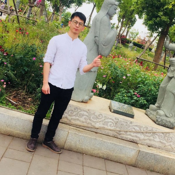 孤单的无脚鸟的照片