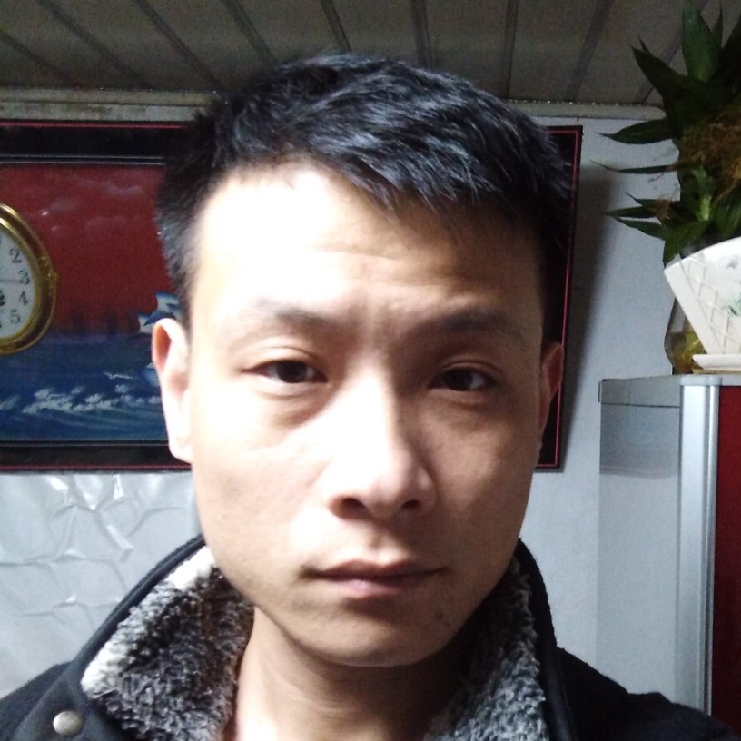 粉红顽皮豹子的照片