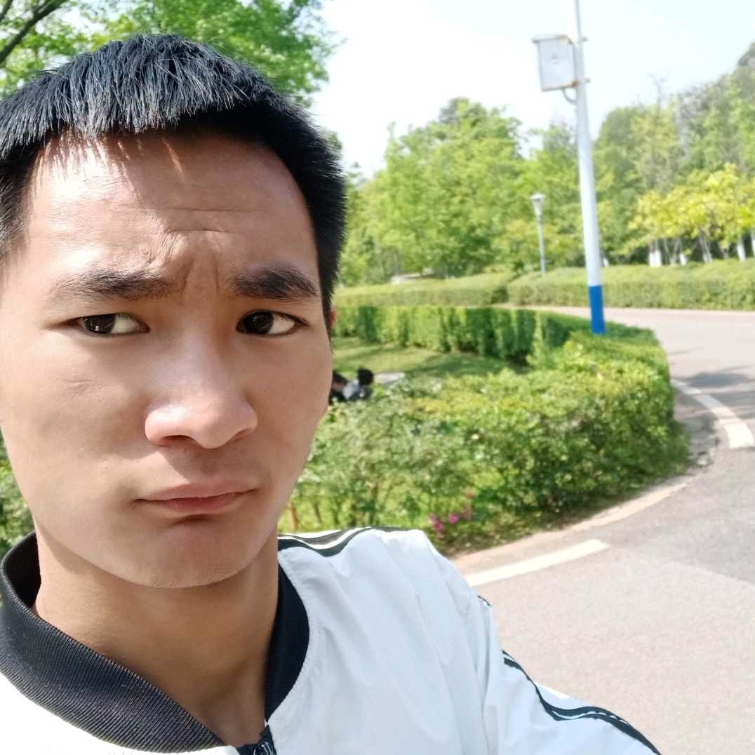 朴实翅膀1号的照片