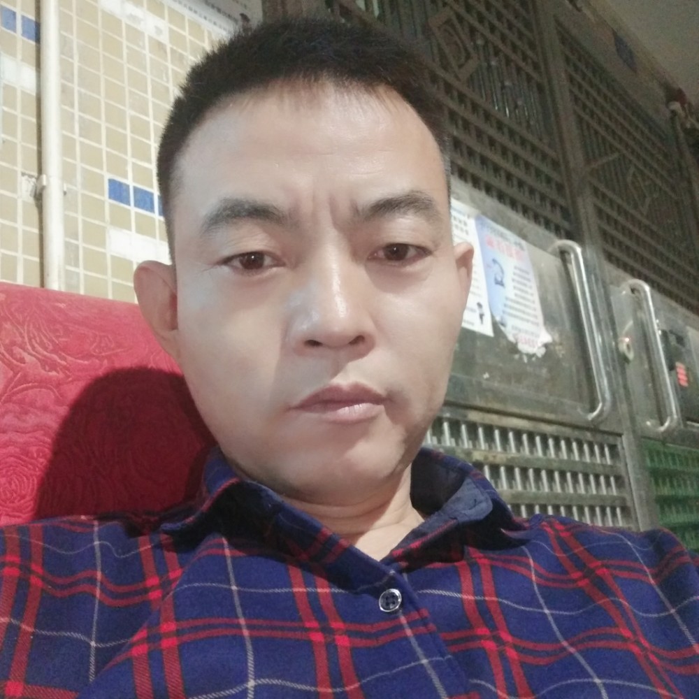 黎明的爱情的照片