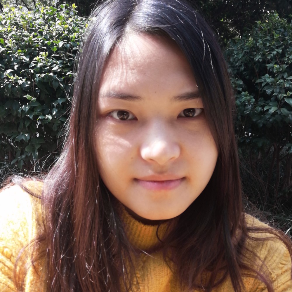 猫咪与彩色的照片